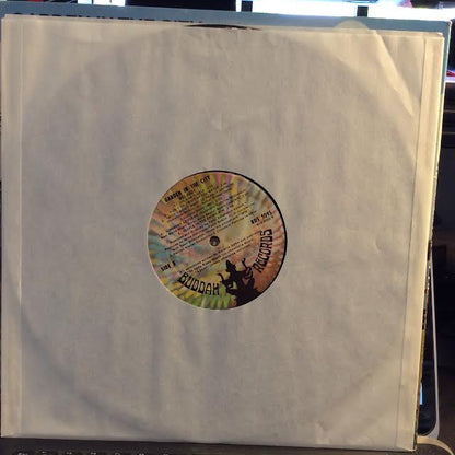 Melanie (2) - Garden In The City (VINYL) | Near Mint (NM or M-)