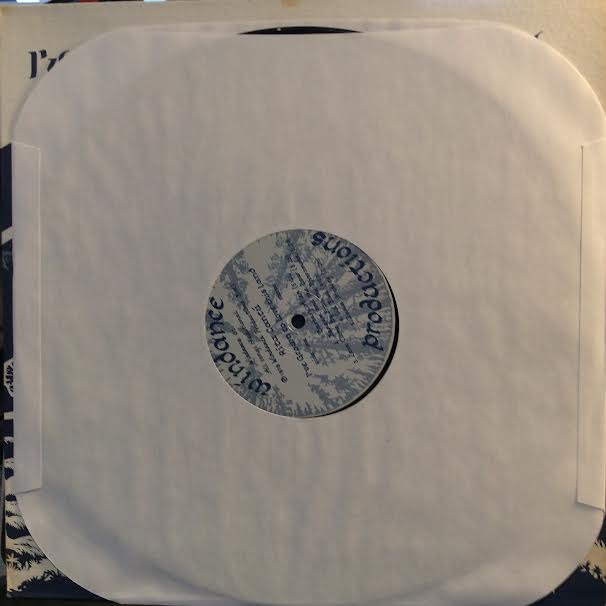 I've Grown To Love This Land (VINYL) | Near Mint (NM or M-)