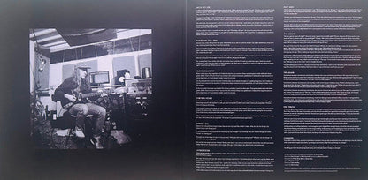 The Neon Skyline (VINYL) | Near Mint (NM) Near Mint (NM)