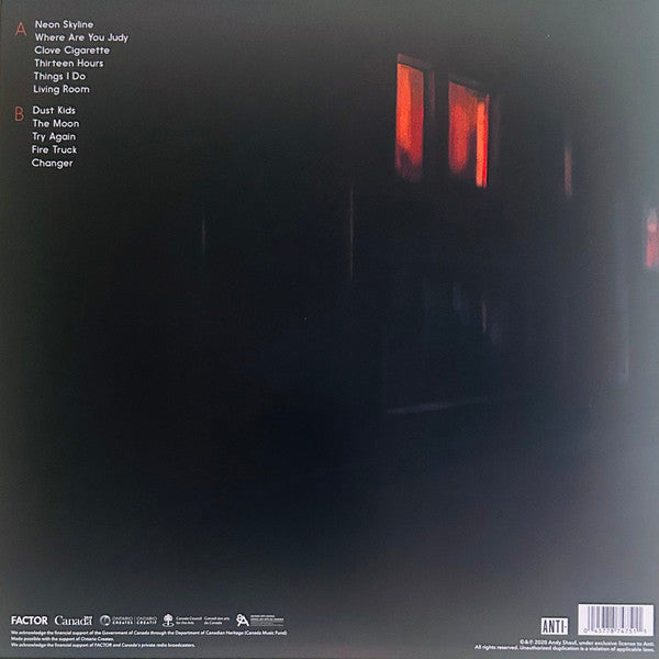 The Neon Skyline (VINYL) | Near Mint (NM) Near Mint (NM)