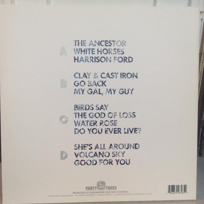 Darlingside - Birds Say (2xVINYL) | Near Mint (NM) Near Mint (NM)