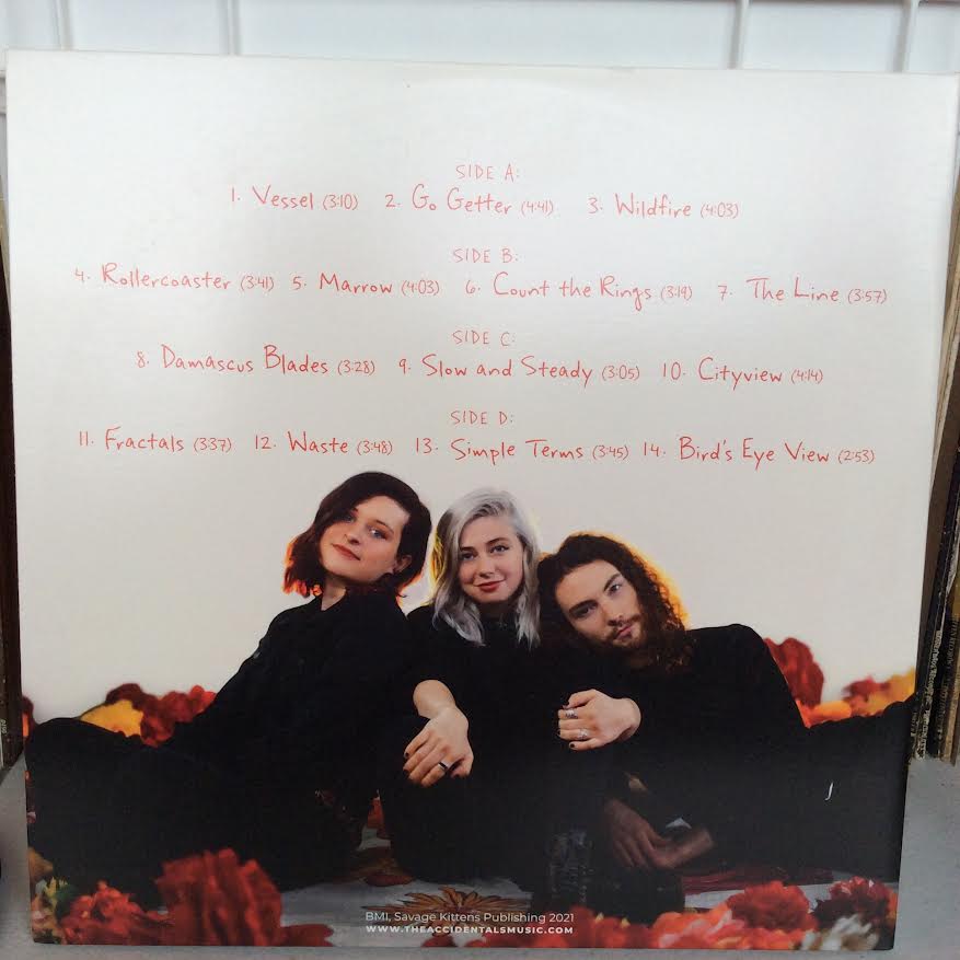The Accidentals (4) - Vessel (2xVINYL) | Near Mint (NM) Near Mint (NM)