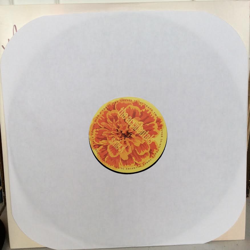 The Accidentals (4) - Vessel (2xVINYL) | Near Mint (NM) Near Mint (NM)