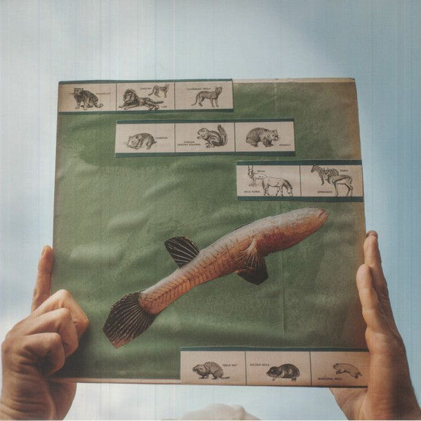 The River Strumming | Mint (M) Mint (M)