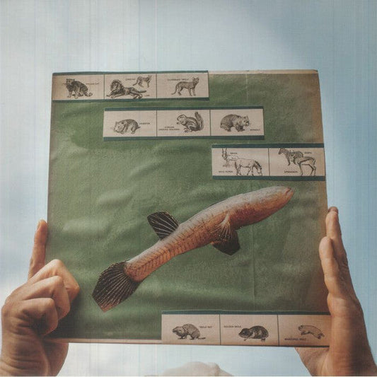 The River Strumming | Mint (M) Mint (M)