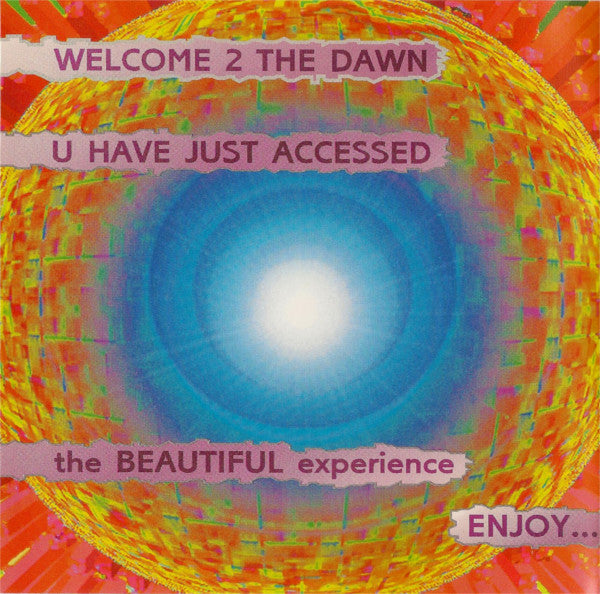The Artist (Formerly Known As Prince) - The Beautiful Experience (CD) | Near Mint (NM) Near Mint (NM)