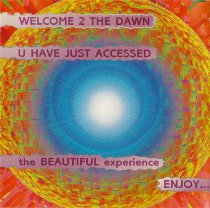 The Artist (Formerly Known As Prince) - The Beautiful Experience (CD) | Near Mint (NM) Near Mint (NM)