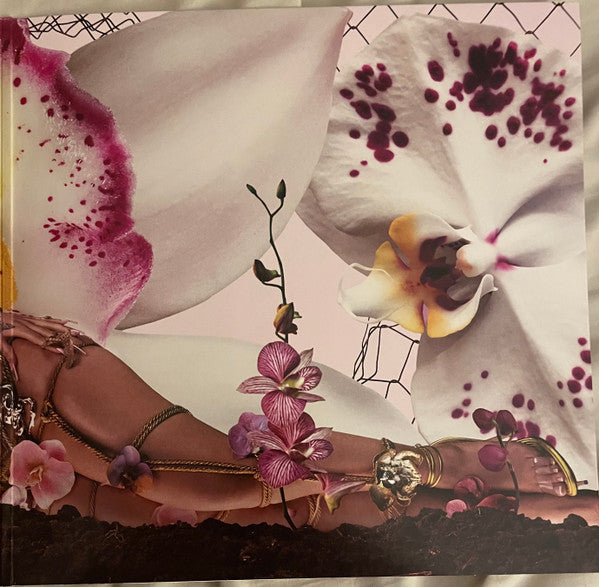 Kali Uchis - Orquídeas (VINYL) | Near Mint (NM) Near Mint (NM)