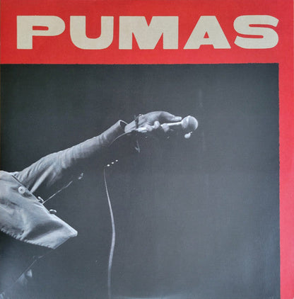 Black Pumas (GALAXY COLOR 2xVINYL) | Near Mint (NM or M-)
