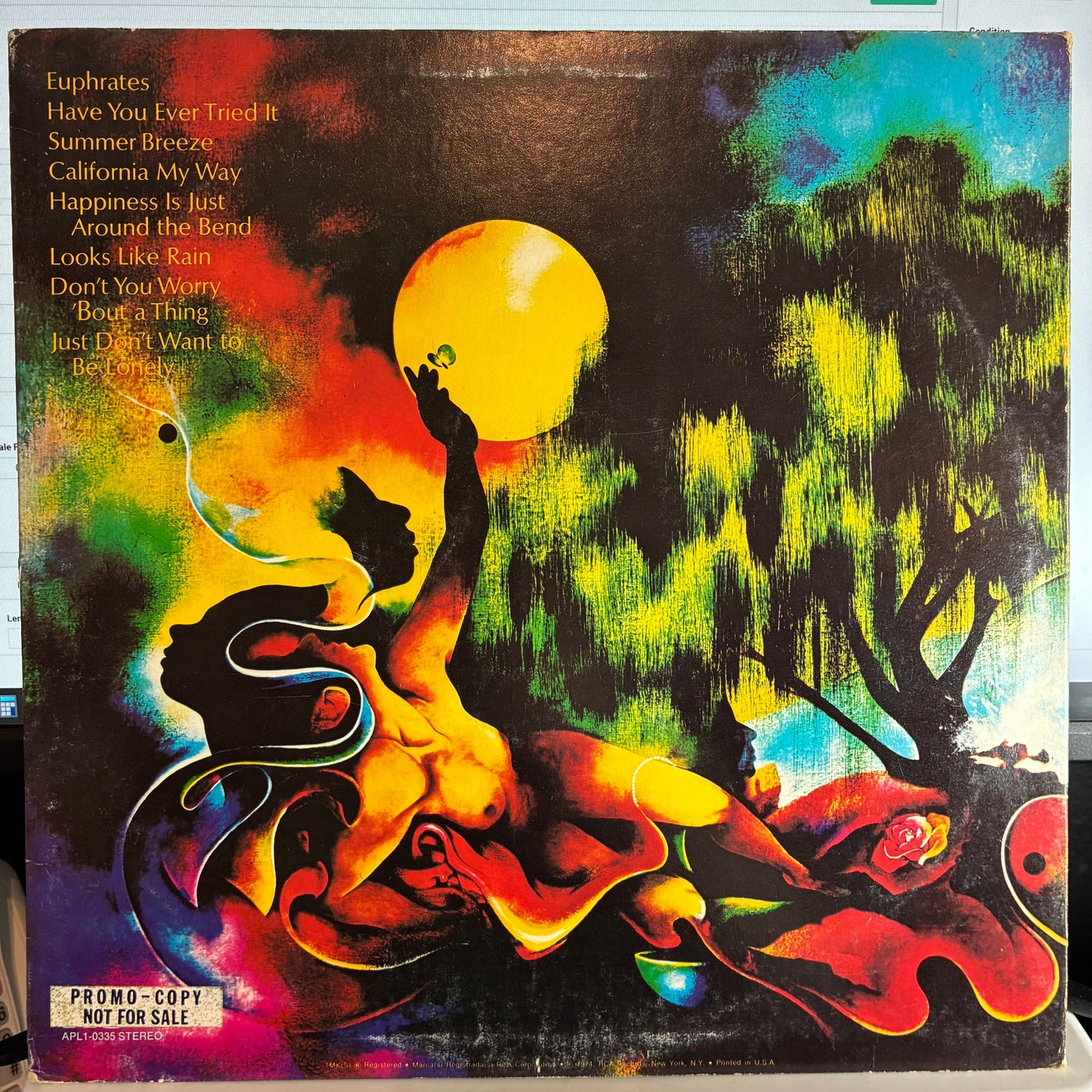 The Main Ingredient - Euphrates River (VINYL) | Very Good Plus (VG+) Excellent (EX)