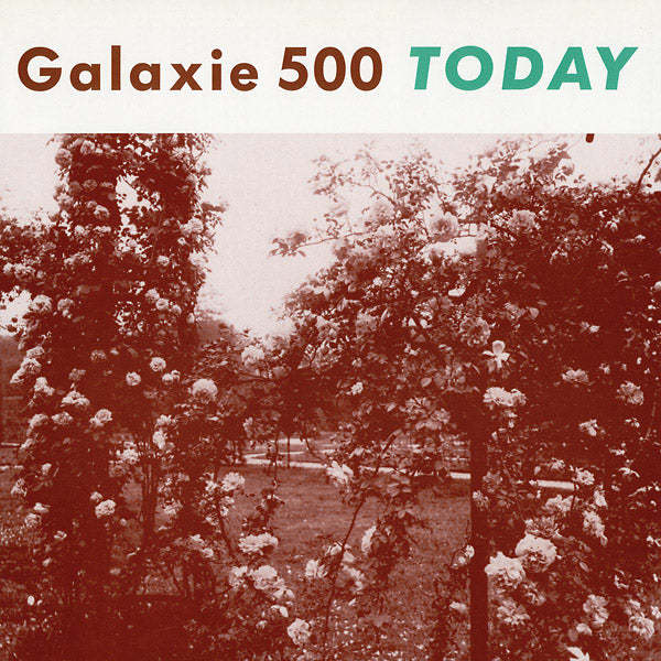 Today (VINYL) |