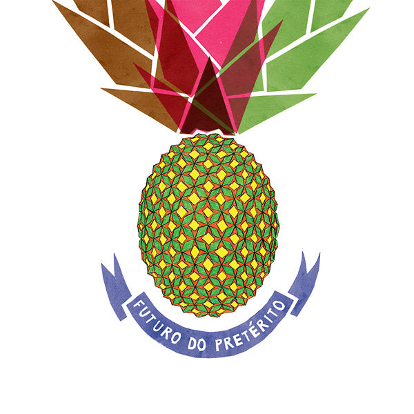 Futuro Do Preterito |