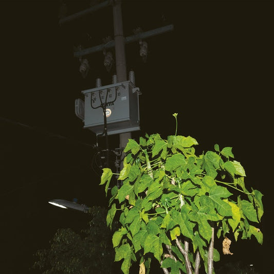 Down On Darkened Meetings | Mint (M)