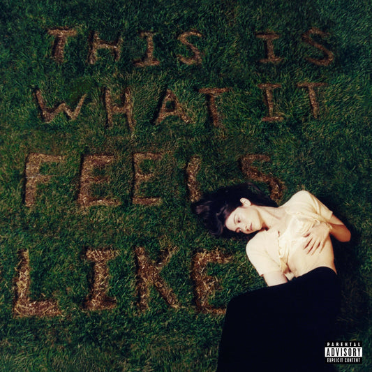 This Is What It Feels Like [LP] | Mint (M) Mint (M)