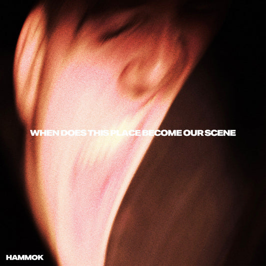 Hammok - When Does This Place Become Our Scene (IEX LYRIC POSTER DDL RED VINYL) | Mint (M) Mint (M)