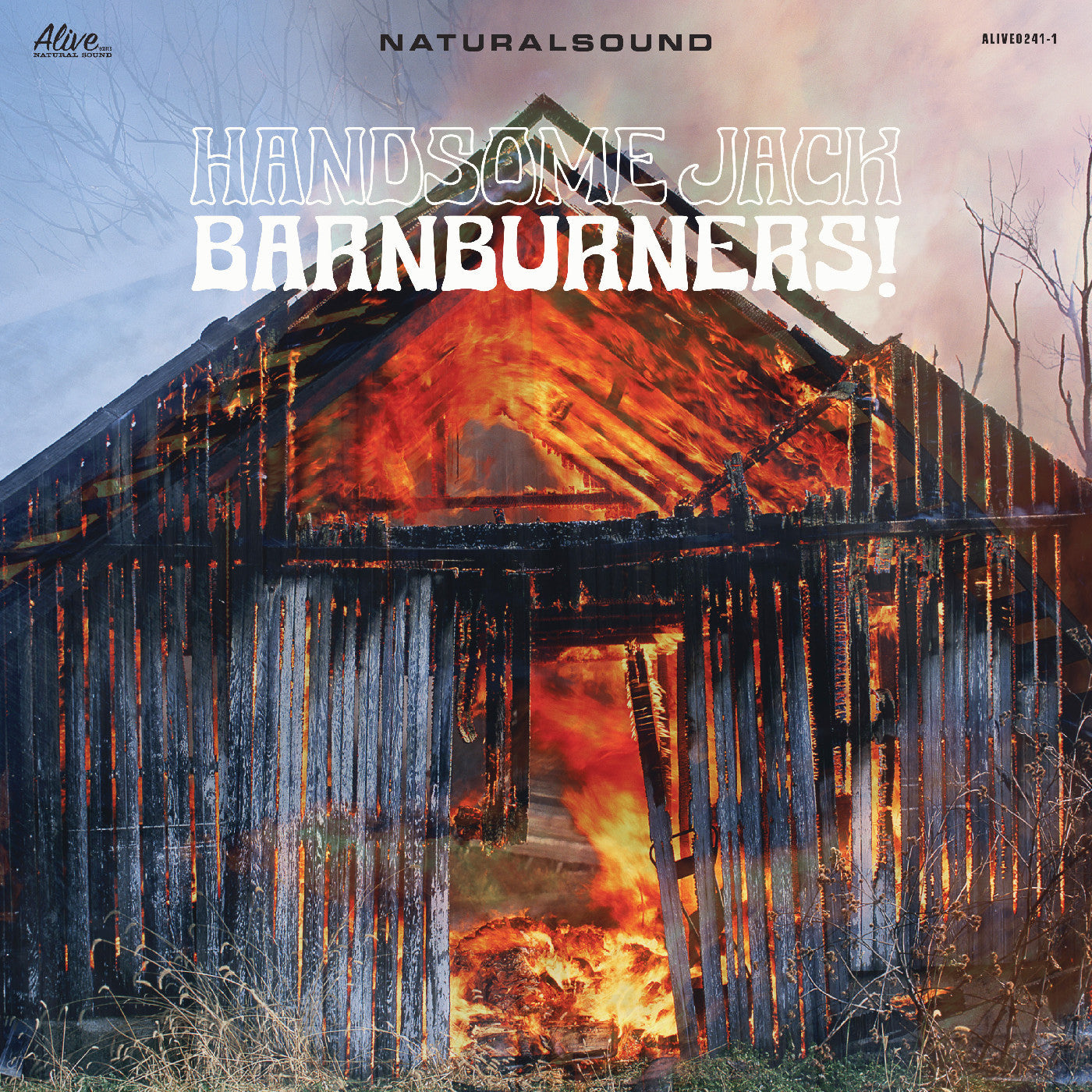Handsome Jack - Barnburners! (VINYL) | Mint (M) Mint (M)