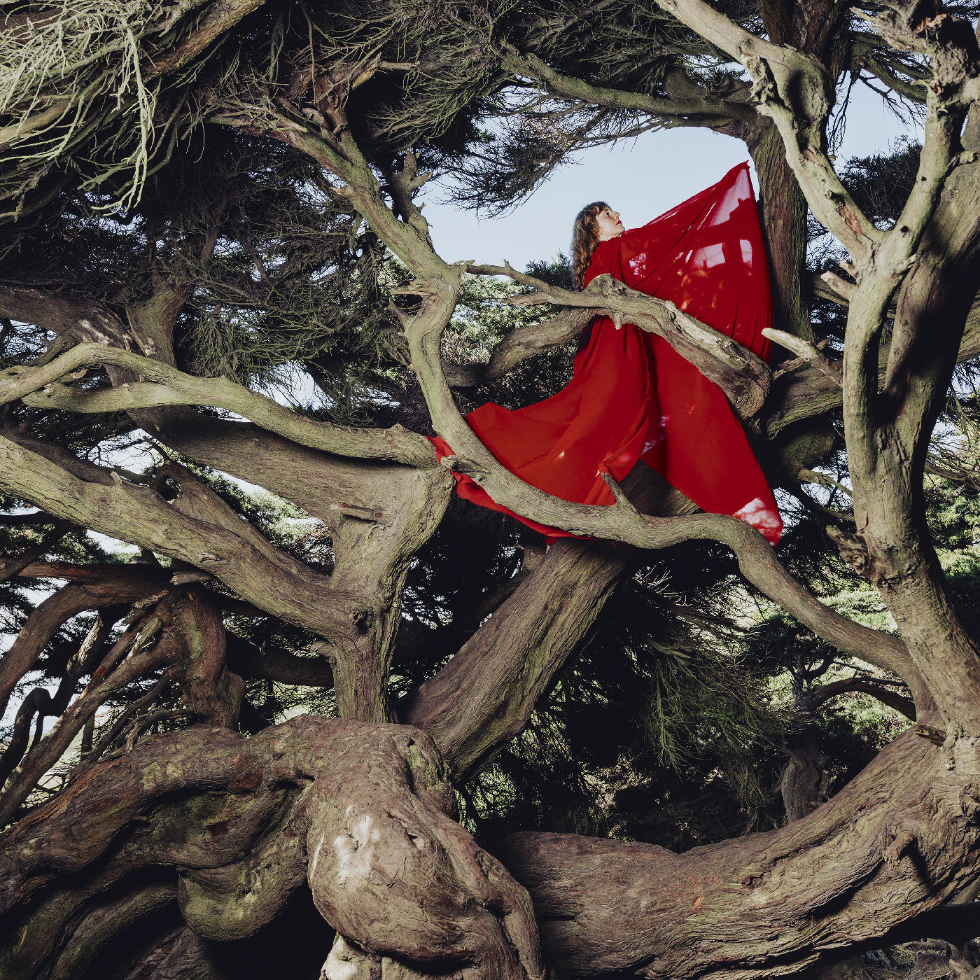Hannah Frances - Nested In Tangles (Ruby Red VINYL) | Mint (M) Mint (M)