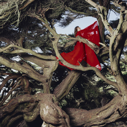 Hannah Frances - Nested In Tangles (Ruby Red VINYL) | Mint (M) Mint (M)