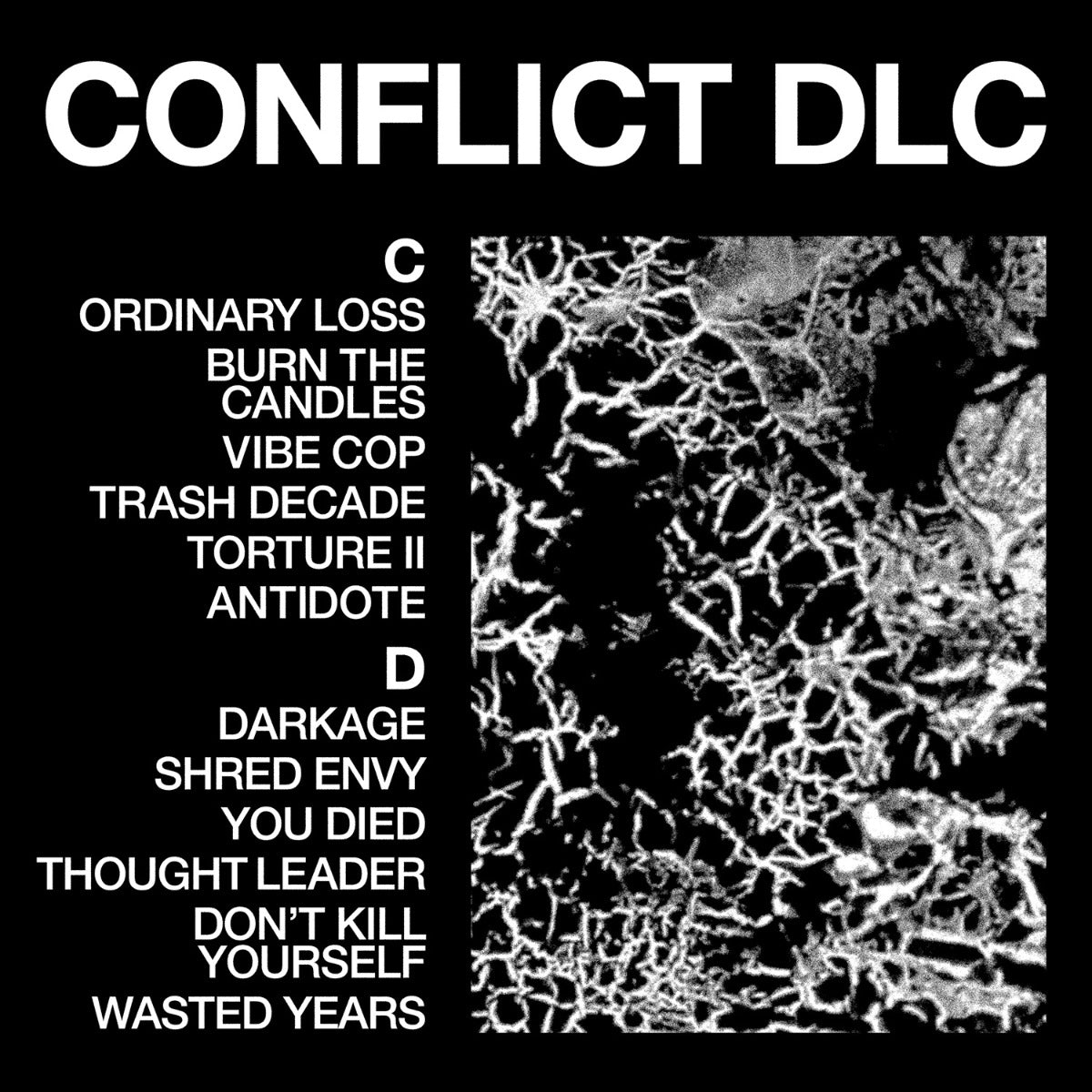 Health - Conflict Dlc [LP] |
