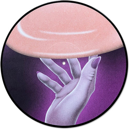 Flamingosis - Daymaker (PICTURE VINYL) | Mint (M) Mint (M)