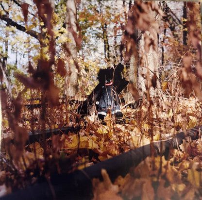 Billy Woods - Golliwog (2xVINYL) |
