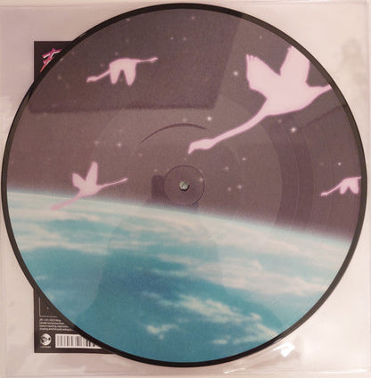 Flamingosis - Daymaker (PICTURE VINYL) | Mint (M) Mint (M)