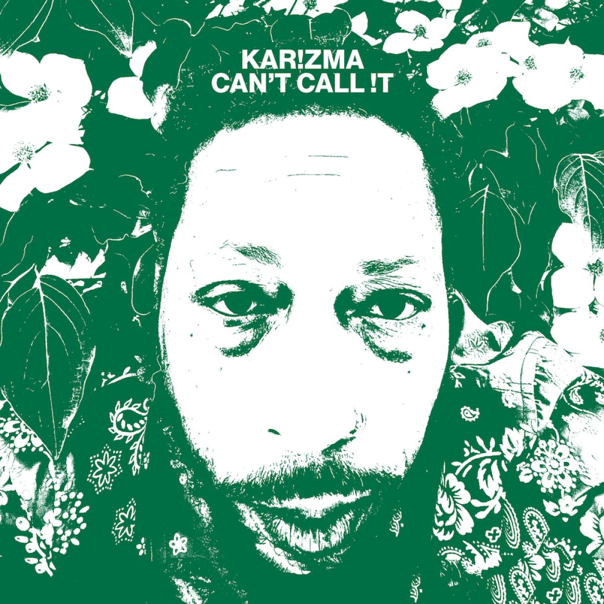 Can't Call !t (2x VINYL) | Mint (M) Mint (M)