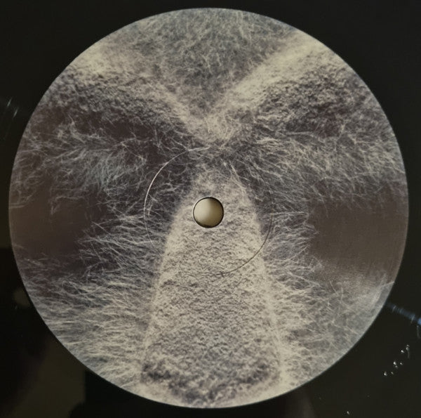 MF DOOM - Born Like This (2xVINYL) | Near Mint (NM or M-)