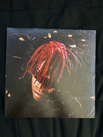 DC The Don - Funeral (VINYL) | Mint (M) Mint (M)