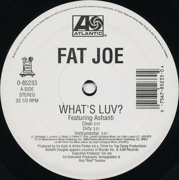 Fat Joe - What's Luv? / Definition Of A Don (12" VINYL) | Excellent+ (EX+) Generic