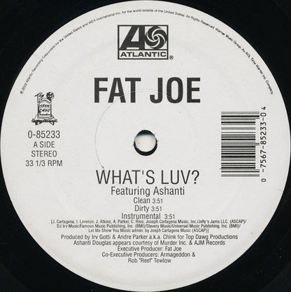 Fat Joe - What's Luv? / Definition Of A Don (12" VINYL) | Excellent+ (EX+) Generic