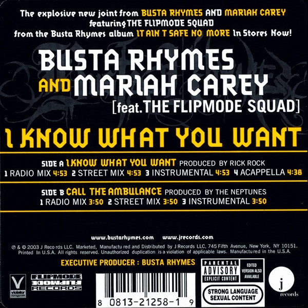 Busta Rhymes - I Know What You Want (12") | Excellent (EX) Near Mint (NM)