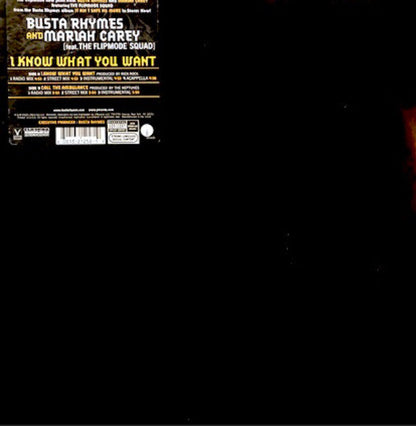 Busta Rhymes - I Know What You Want (12") | Excellent (EX) Near Mint (NM)
