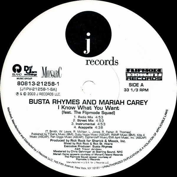 Busta Rhymes - I Know What You Want (12") | Excellent (EX) Near Mint (NM)
