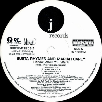 Busta Rhymes - I Know What You Want (12") | Excellent (EX) Near Mint (NM)