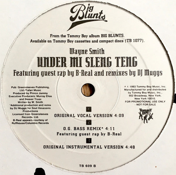 Under Mi Sleng Teng (12" VINYL) | Near Mint (NM) Generic