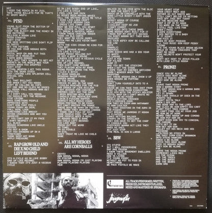JPEGMAFIA - All My Heroes Are Cornballs (VINYL) | Near Mint (NM or M-) Near Mint (NM)