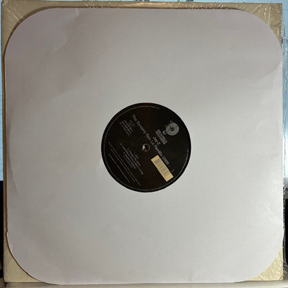Jay-Z - The Dynasty Roc La Familia (2000- ) (2x VINYL) | Very Good Plus (VG+)