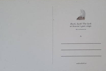 Andrew Bird - Hark! (RED VINYL) | Mint (M) Mint (M)