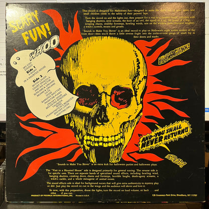 No Artist - Sounds To Make You Shiver (VINYL) | Near Mint- (NM-) Near Mint- (NM-)