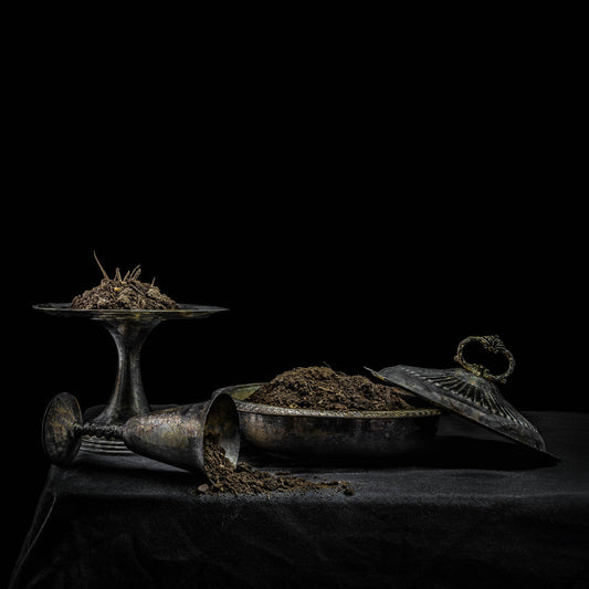 All We Have Is Never *PRE-ORDER 8/8/25*(Purple Vinyl) | Mint (M) Mint (M)