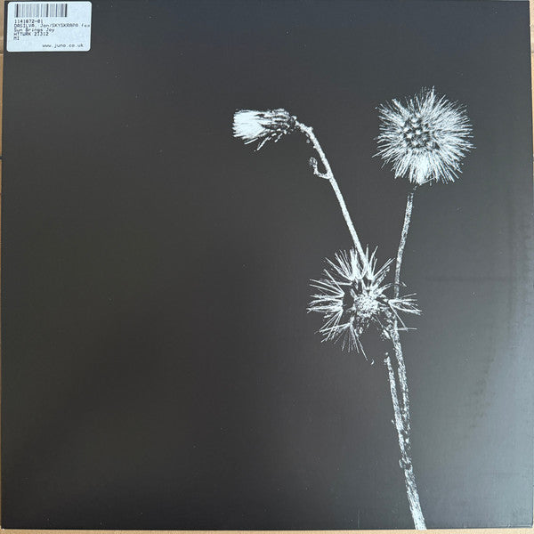 Jon Dasilva - Sun Brings Joy (VINYL) | Mint (M) Mint (M)