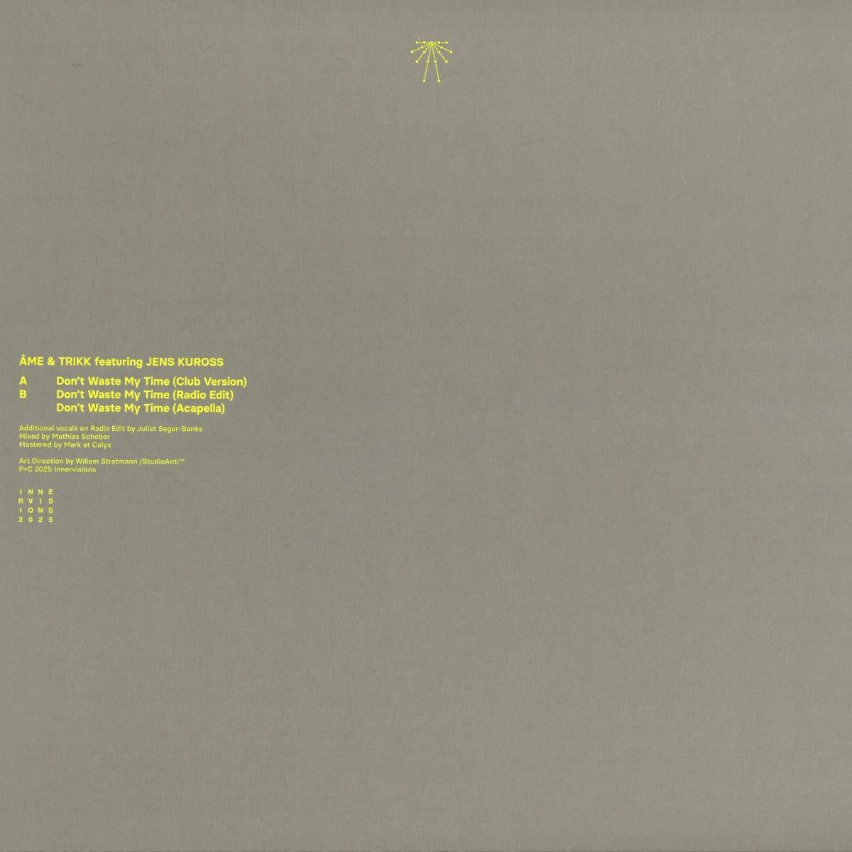 Don't Waste My Time (VINYL 12") | Mint (M) Mint (M)