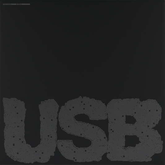 Fred again.. - USB002 (2x VINYL) | Mint (M) Mint (M)
