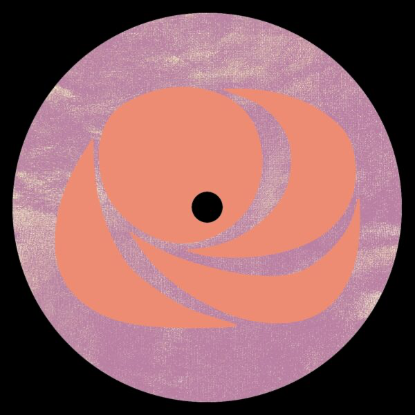 DC Salas - Create or Combust (VINYL) | Mint (M) Mint (M)