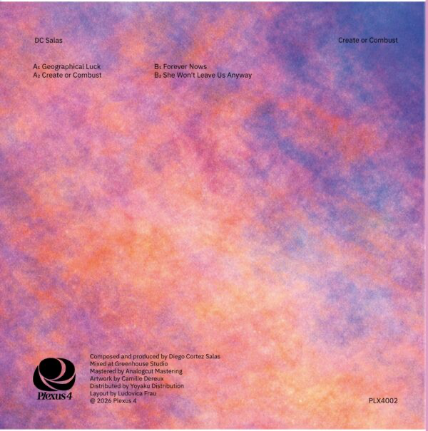 DC Salas - Create or Combust (VINYL) | Mint (M) Mint (M)