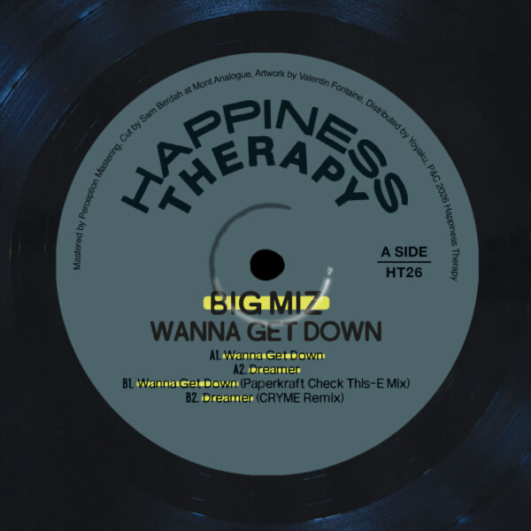 Big Miz - (PRESALE) Wanna Get Down (VINYL) | Mint (M) Mint (M)