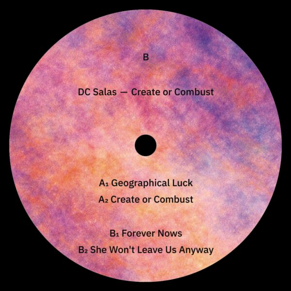 DC Salas - Create or Combust (VINYL) | Mint (M) Mint (M)