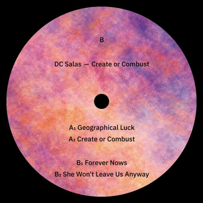 DC Salas - Create or Combust (VINYL) | Mint (M) Mint (M)