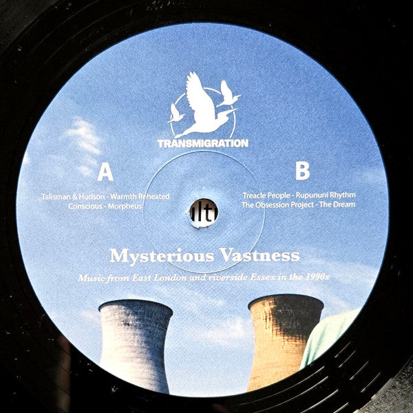 Jane Fitz - Mysterious Vastness (2xVINYL) |